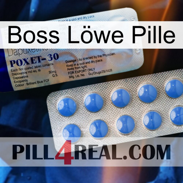 Boss Löwe Pille 39.jpg